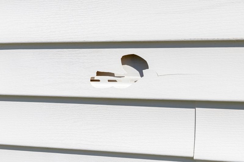 Vinyl Siding Repair Close-up